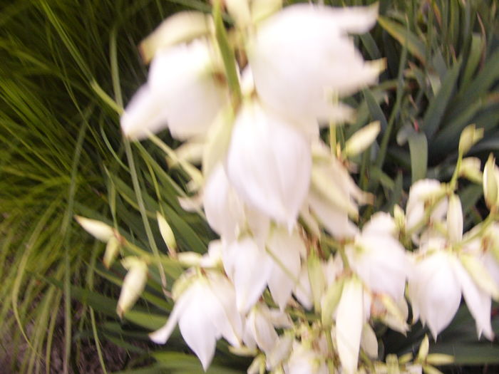 P1290450