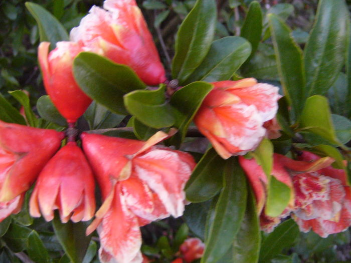 P1290458