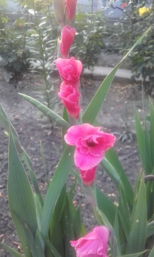 20160623_202449