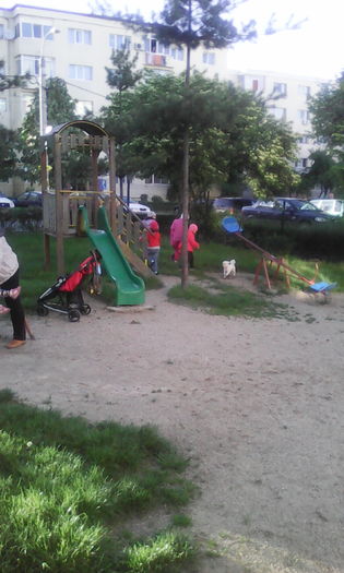 IMG_20160513_191228 - veronica scoala