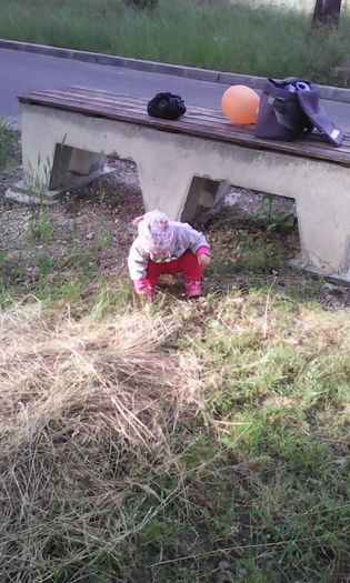 IMG_20160520_184438 - veronica scoala