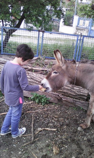 IMG_20160521_124600 - veronica scoala