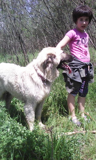 IMG_20160528_133738 - veronica scoala