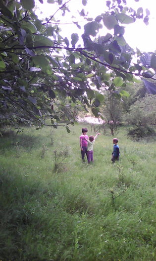 IMG_20160528_135019 - veronica scoala