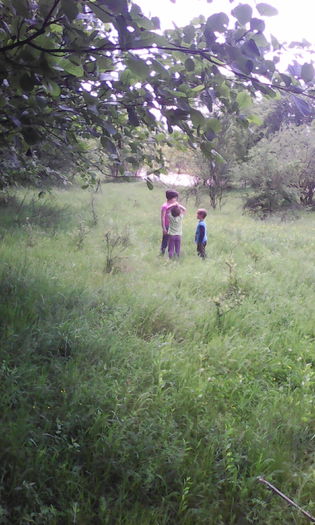 IMG_20160528_135023 - veronica scoala