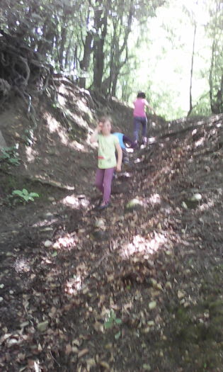 IMG_20160528_135516 - veronica scoala