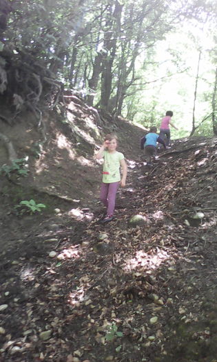 IMG_20160528_135518 - veronica scoala