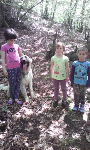 IMG_20160528_140220 - veronica scoala