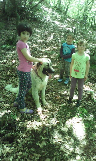 IMG_20160528_140249 - veronica scoala