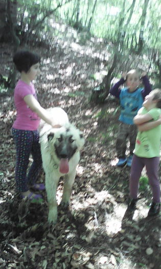 IMG_20160528_140515 - veronica scoala