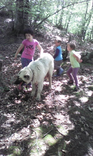 IMG_20160528_140526 - veronica scoala