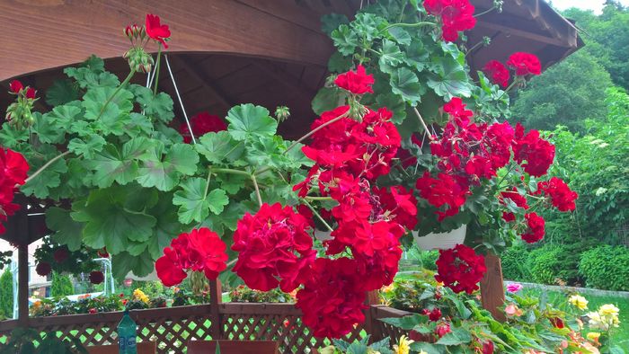 WP_20160624_14_26_54_Pro