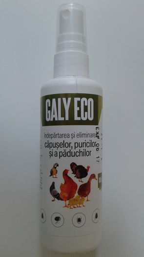 GALY ECO SPRAY 100 ML 11 RON