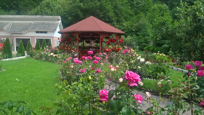 WP_20160624_15_36_08_Pro - Gradina 2016