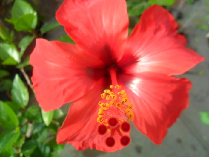 005