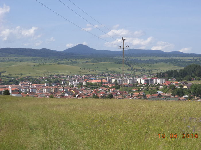Municipiul Toplita-7y - PLANTE SI FRUNZE DE ARBORI IN HRANA CAPRELOR