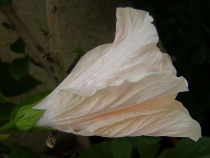 P6200098