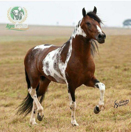 FB_IMG_1466792890693