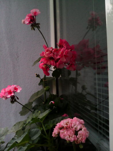 diverse IMG_20160526_121719