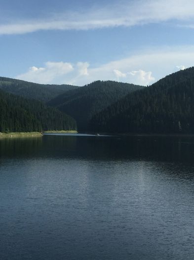 image - Natura-marisel-belis