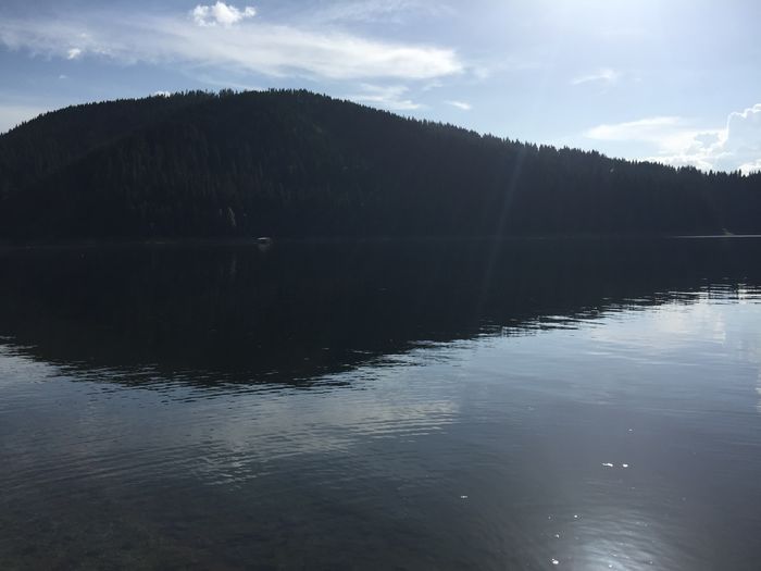 image - Natura-marisel-belis