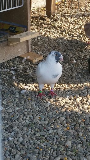 IMG-20160625-WA0009 - Un nou inceput