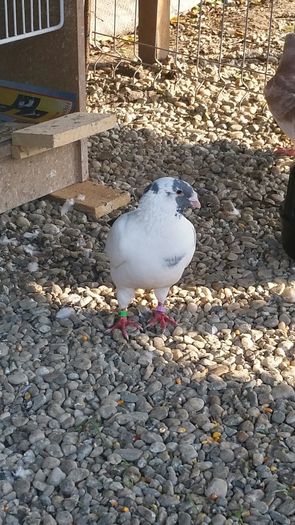 IMG-20160625-WA0003 - Un nou inceput