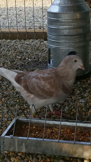 IMG-20160625-WA0016 - Un nou inceput