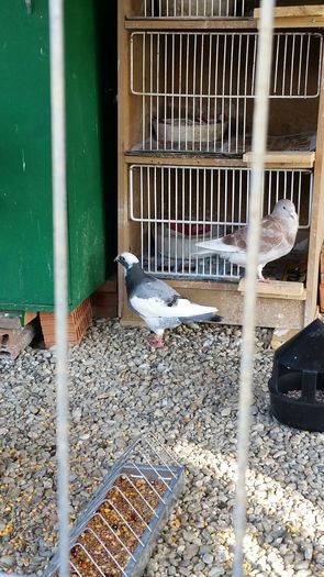 IMG-20160625-WA0048 - Un nou inceput