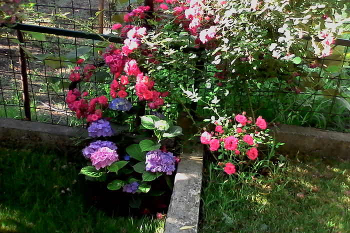 IMG_20160626_083633 - 5Vara 2016