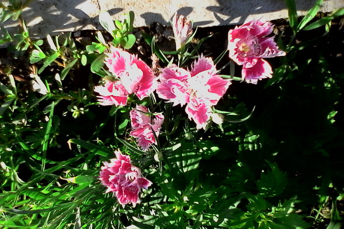 IMG_20160626_083547 - 5Vara 2016