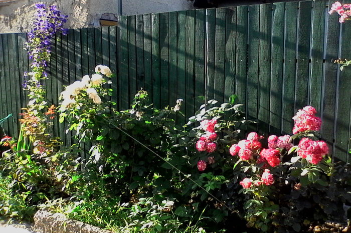 IMG_20160626_083516 - 5Vara 2016