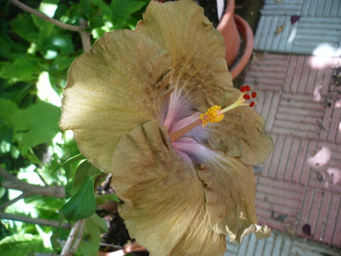 P1270644