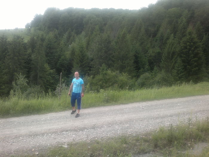 ABCD0014 (4) - shordy