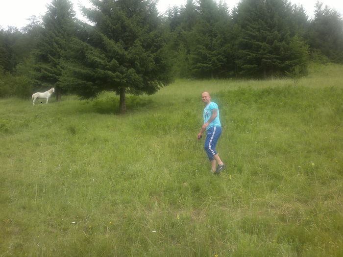 ABCD0020 (3) - shordy