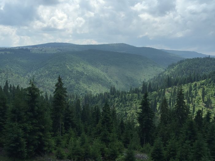 image - Natura-marisel-belis