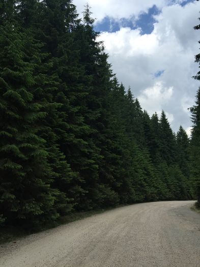 image - Natura-marisel-belis