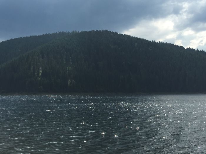 image - Natura-marisel-belis