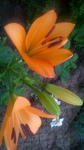 WP_20160626_07_55_31_Pro