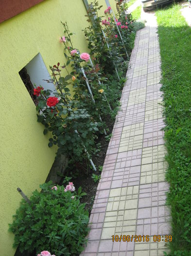 Picture 6401