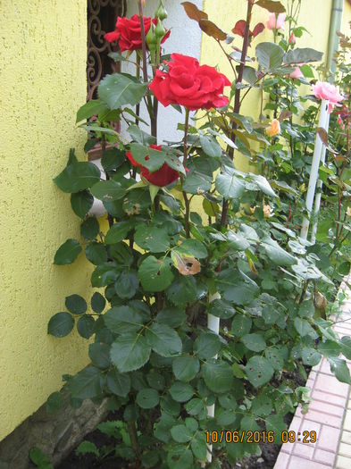 Picture 6402