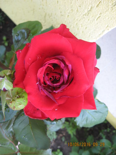Picture 6403
