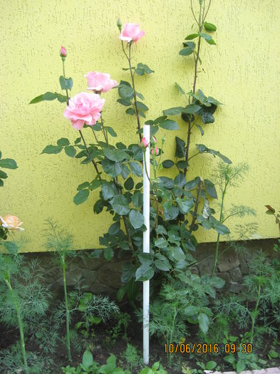Picture 6404