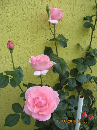 Picture 6405