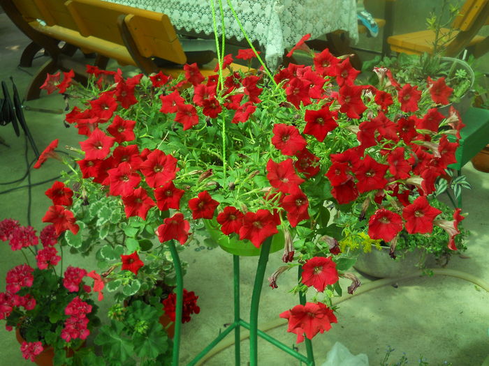 DSCN9654