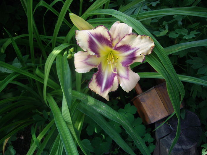 IMGP9819