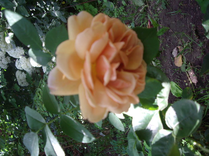 IMGP9830