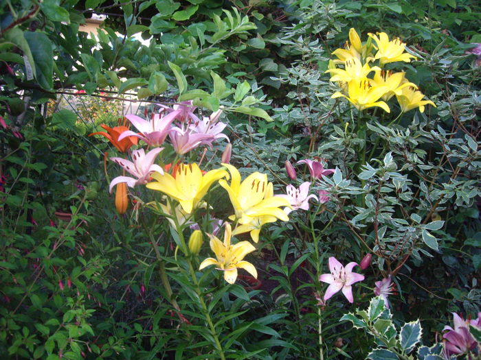 IMGP9844