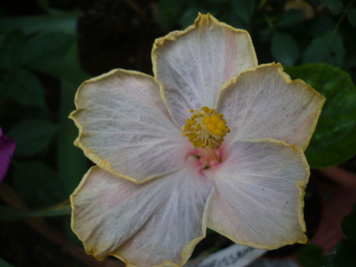 P1270697