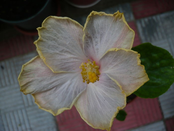 P1270698